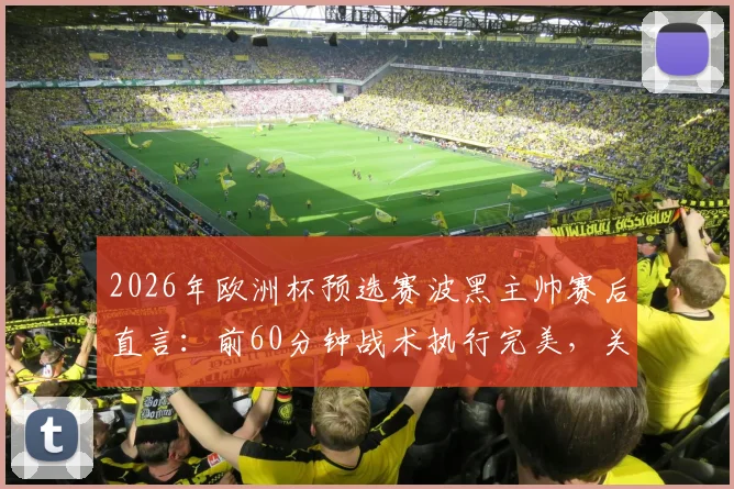 2026年欧洲杯预选赛波黑主帅赛后直言：前60分钟战术执行完美，关键失误与红牌成比赛转折点